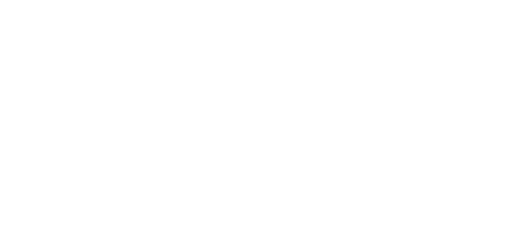 Raidsim's logo