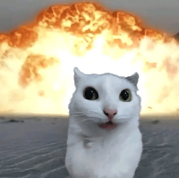 The Cat Sticker