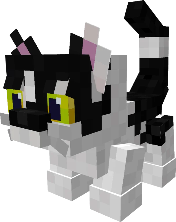 Ghost Pet Cat