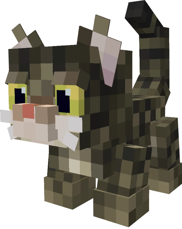 Hazel Pet Cat