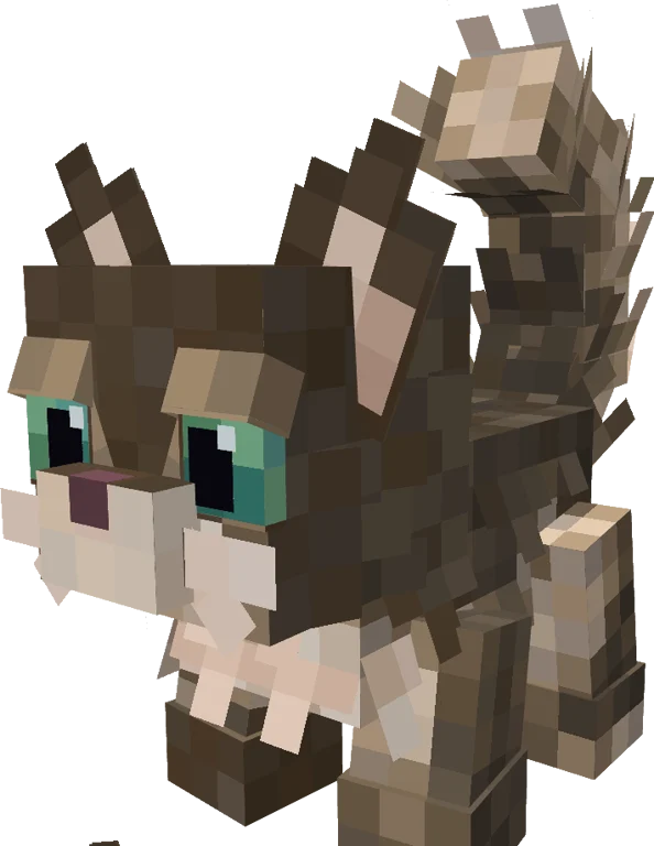 Saphy Pet Cat