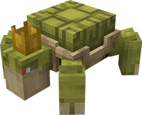 Turtle Pet