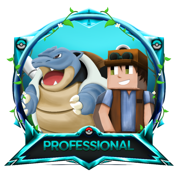 Professional Rank