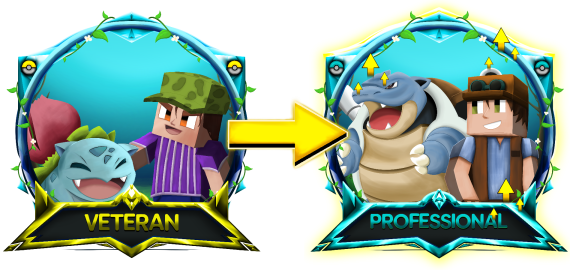 Veteran --> Pro Rank