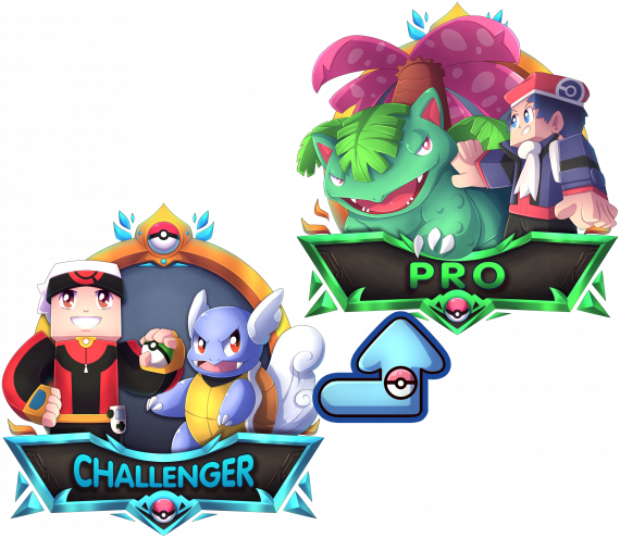 Challenger to Pro