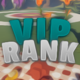 VIP Rank